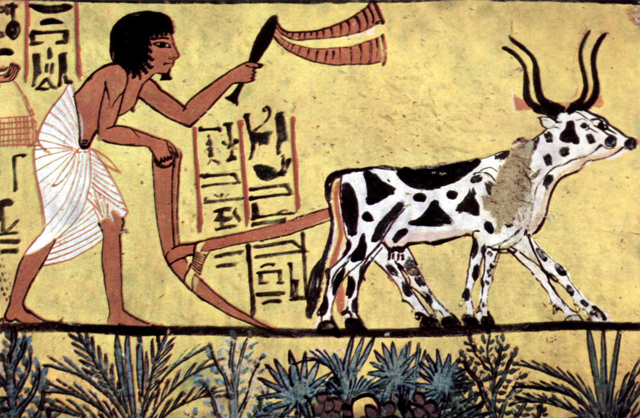 Origines de l'agriculture mondiale