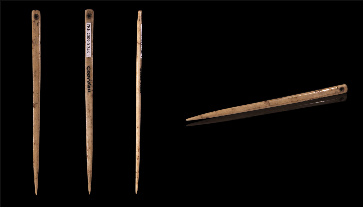 Unearthing the Past: World's Oldest Needle Sheds Light on Ancient Human Innovation